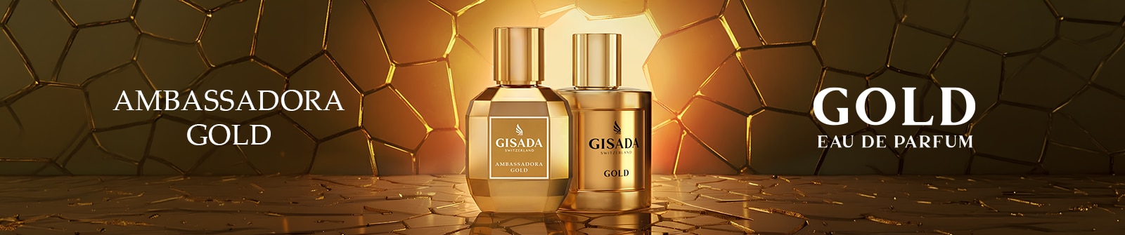 1600x335.png 1600x335.png