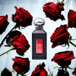 100 ML Gisada LUXURY COLLECTION ROSE PARFUM Parfémovaná voda  2 of 3 Parfémovaná voda