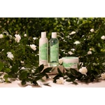 250 ML MARIONNAUD BATH AND BODY JASMINE GREEN TEA Sprchový gel  5 of 7 Sprchový gel