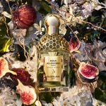 125 ML GUERLAIN AQUA ALLEGORIA FORTE NEROLIA VETIVER Parfémovaná voda pro ženy 2 of 3 Parfémovaná voda pro ženy