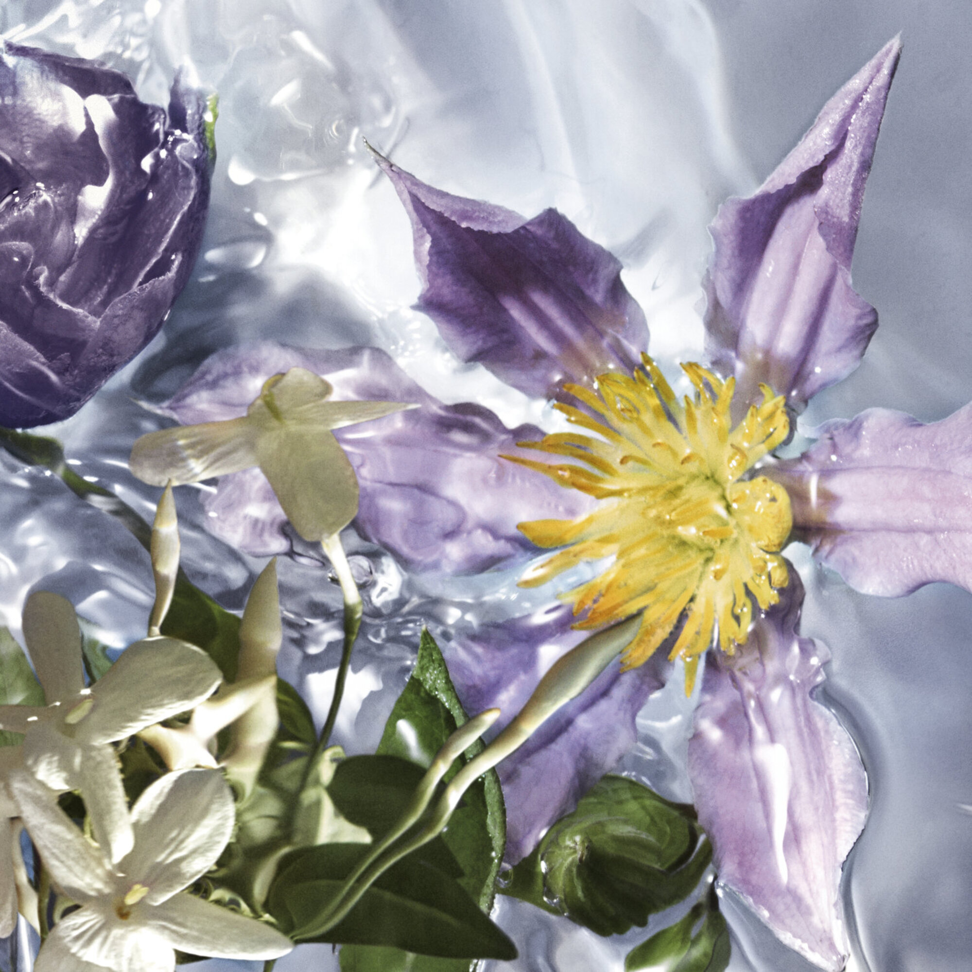 GUE AA FLORA SALVAGGIA EDT R/SPR 75ML