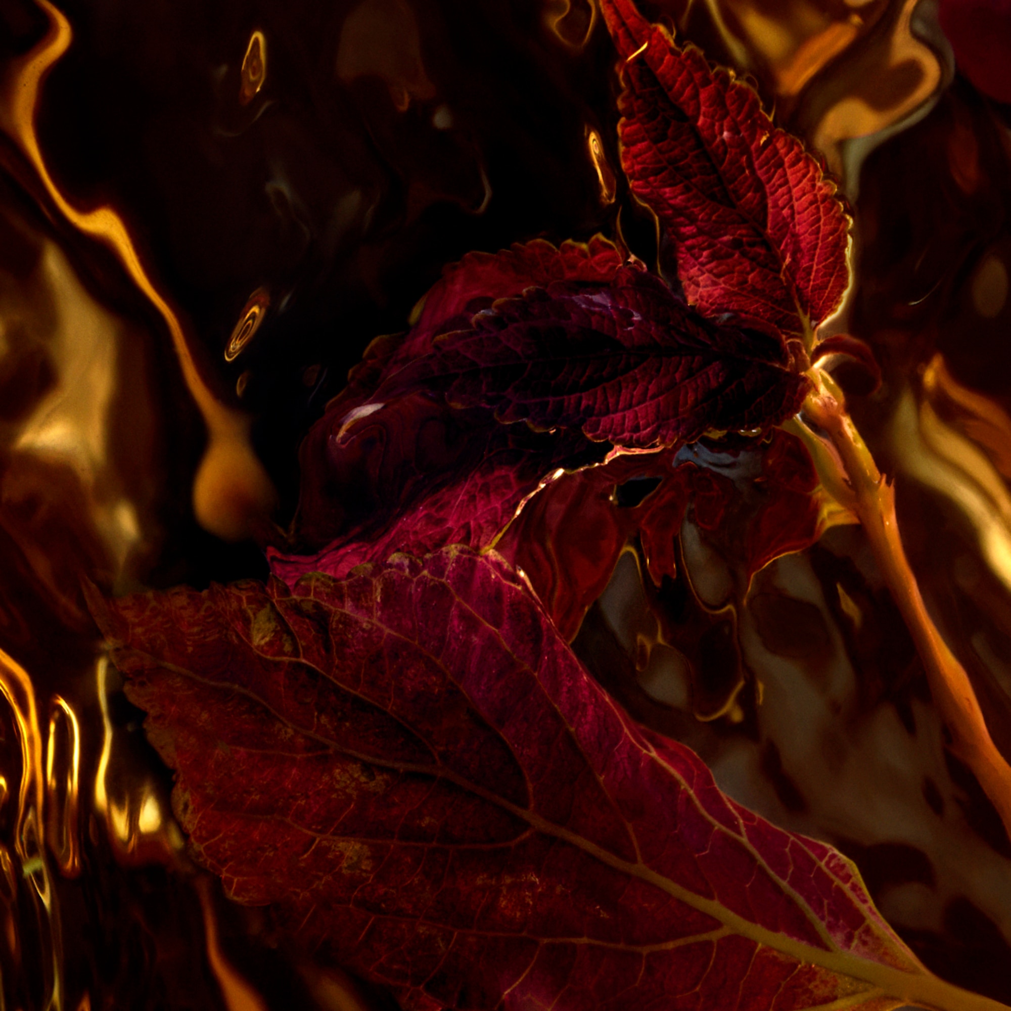 Parfémovaná voda unisex