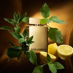 50 ML Dolce & Gabbana THE ONE FOR MEN GOLD INTENSE Parfémovaná voda 4 of 6 Parfémovaná voda