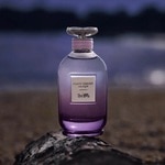 40 ML Coach DREAMS MOONLIGHT Parfémovaná voda pro ženy 3 of 3 Parfémovaná voda pro ženy