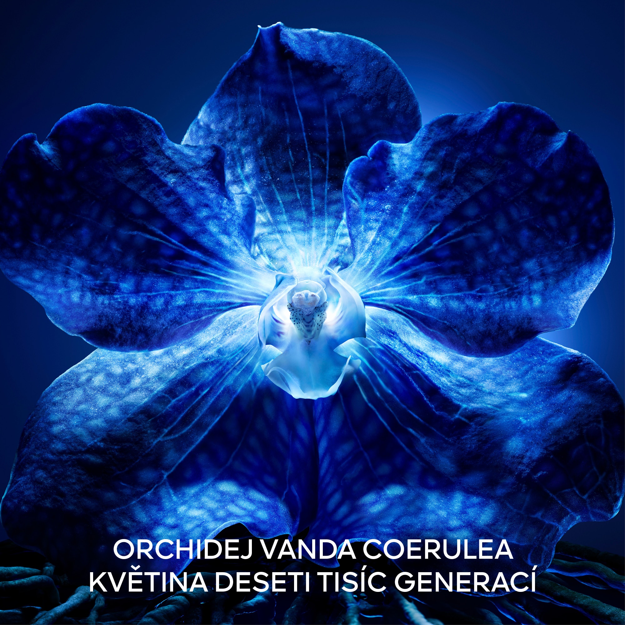 Krém proti stárnutí pleti