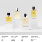 100 ML Hermès TERRE D'HERMES EAU GIVRÉE Parfémovaná voda pro muže  6 of 6 Parfémovaná voda pro muže