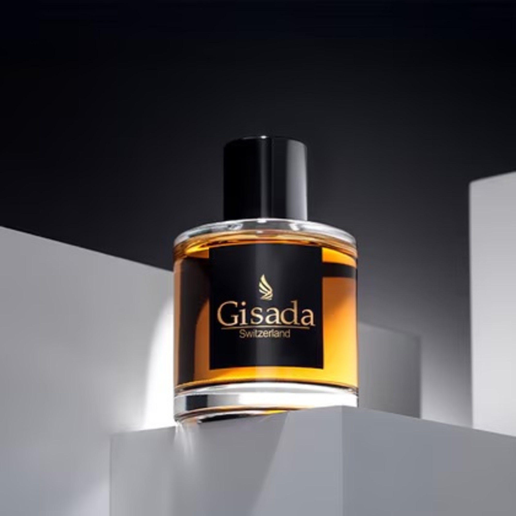 100 ML Gisada AMBASSADOR MEN Parfémovaná voda  1 of 4 