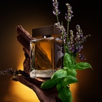 50 ML Dolce & Gabbana THE ONE FOR MEN Toaletní voda 2 of 5 Toaletní voda