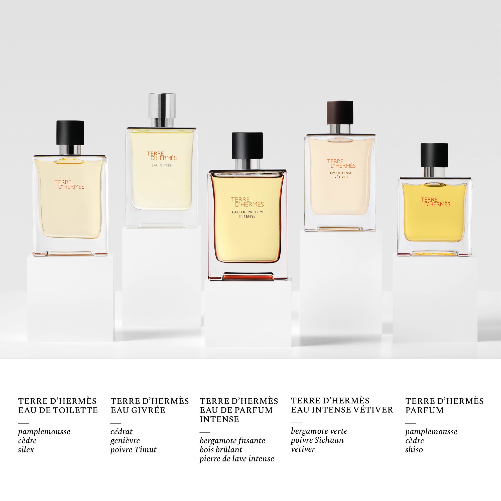 50 ML Hermès TERRE D´HERMÈS EAU INTENSE VÉTIVER Parfémovaná voda pro muže  4 of 4 Parfémovaná voda pro muže