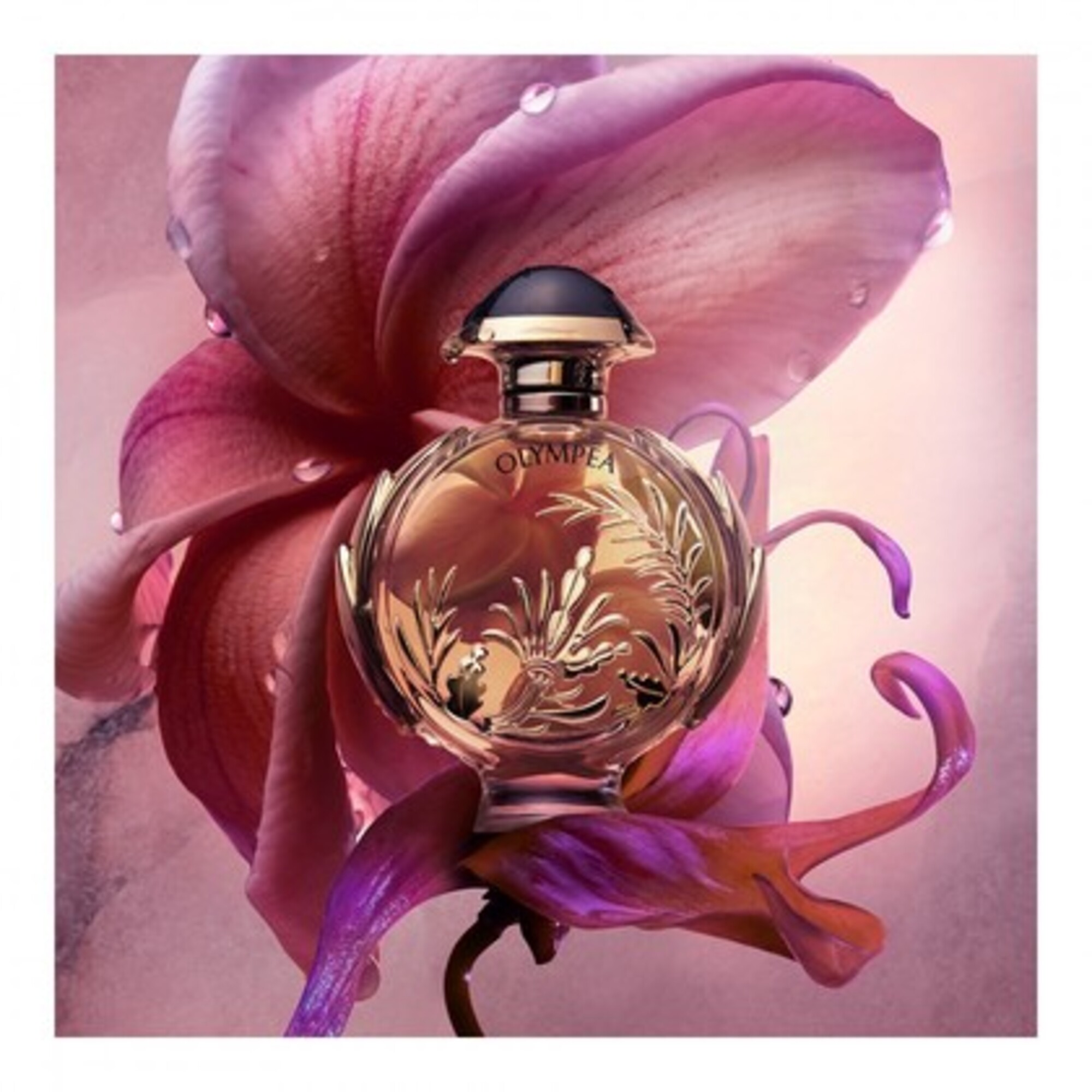 Parfémovaná voda pro ženy