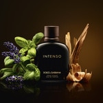 75 ML Dolce & Gabbana POUR HOMME INTENSO Parfémovaná voda 2 of 3 Parfémovaná voda