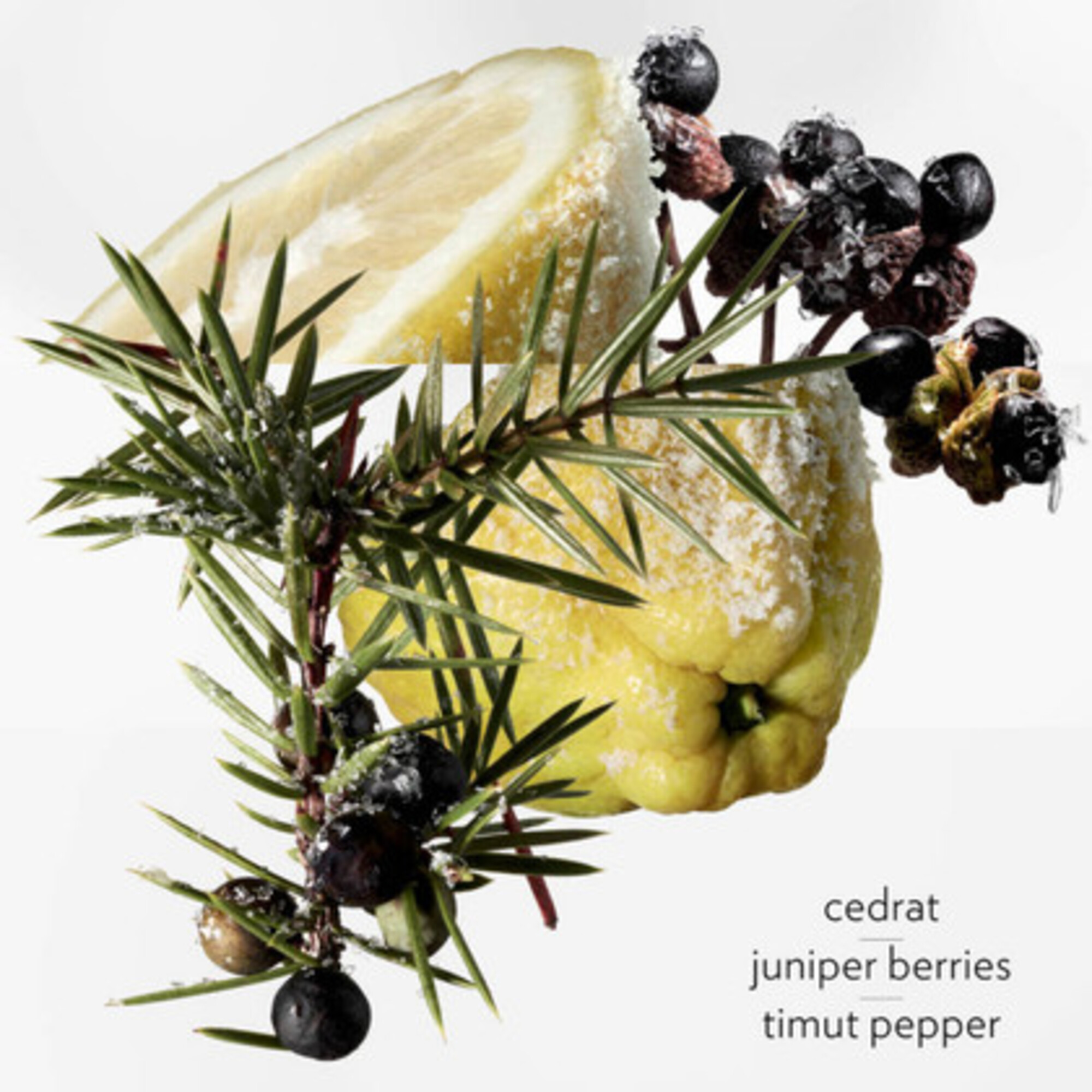 Parfémovaná voda pro muže