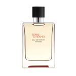 100 ML Hermès TERRE D'HERMÈS INTENSE Parfémovaná voda 1 of 6 Parfémovaná voda