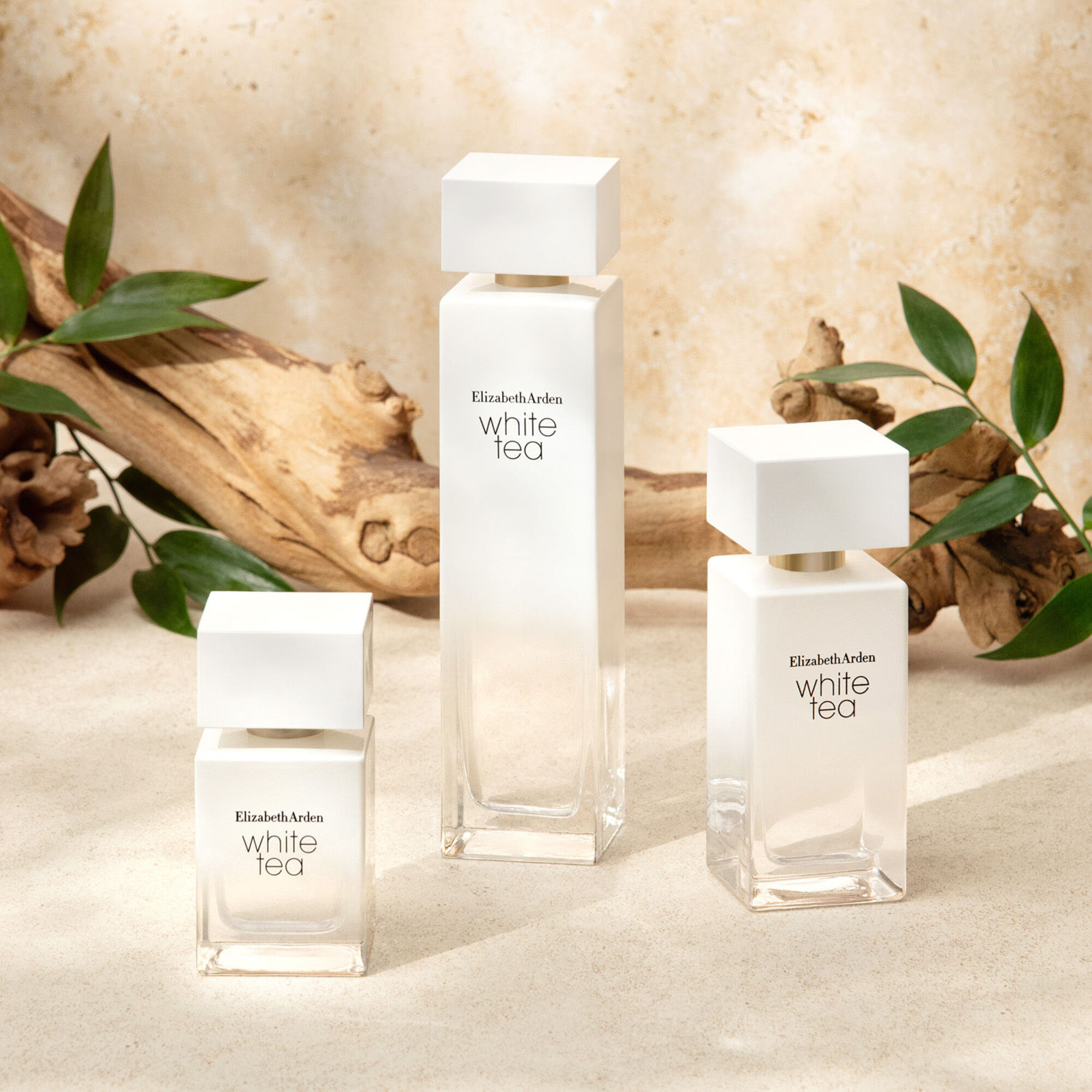 100 ML Elizabeth Arden WHITE TEA Toaletní voda  1 of 5 