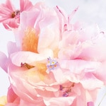 20 ML Dior MISS DIOR Blooming Bouquet toaletní voda Roller-Pearl 2 of 3 Blooming Bouquet toaletní voda Roller-Pearl