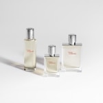 100 ML Hermès TERRE D'HERMES EAU GIVRÉE Parfémovaná voda pro muže  5 of 6 Parfémovaná voda pro muže