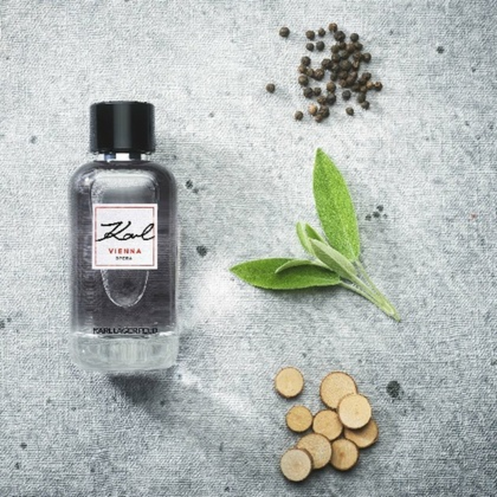 100 ML Karl Lagerfeld VIENNA OPERA Toaletní voda pro muže  3 of 3 Toaletní voda pro muže