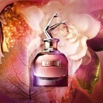 30 ML Jean Paul Gaultier SCANDAL Parfémovaná voda pro ženy 5 of 6 Parfémovaná voda pro ženy
