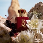 50 ML Dolce & Gabbana Q ELIXIR Parfémovaná voda 2 of 8 Parfémovaná voda