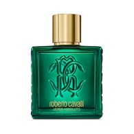 100 ML Roberto Cavalli UOMO VERDE ASSOLUTO Parfémovaná voda 