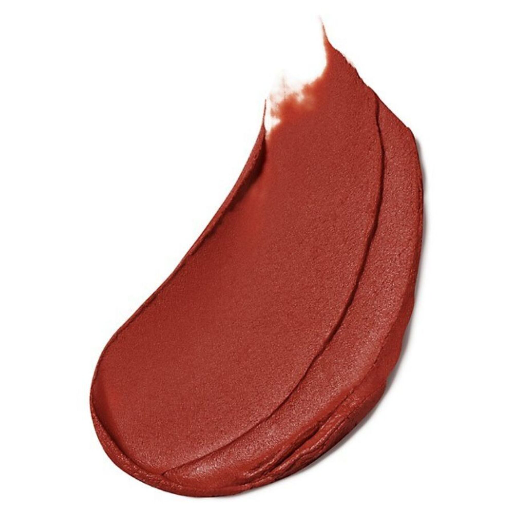 Estée Lauder PURE COLOR LIPSTICK MATTE Matná rtěnka 1 of 3