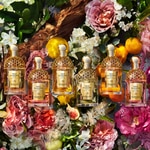 40 ML GUERLAIN FLORABLOOM FORTE AQUA FL BLOOM FORTE EDP 40ML  8 of 8 AQUA FL BLOOM FORTE EDP 40ML