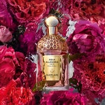 75 ML GUERLAIN AQUA ALLEGORIA ROSA ROSSA FORTE  GUE AA ROSA ROSSA FORTE EDP R/SPR 75ML  3 of 4 GUE AA ROSA ROSSA FORTE EDP R/SPR 75ML