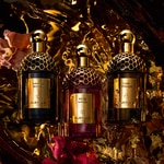 125 ML GUERLAIN ABSOLUS ALLEGORIA SANTAL ROYAL Parfémovaná voda unisex  5 of 5 Parfémovaná voda unisex