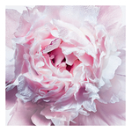 100 ML Dior MISS DIOR Čistící gel na ruce  3 of 3 Čistící gel na ruce