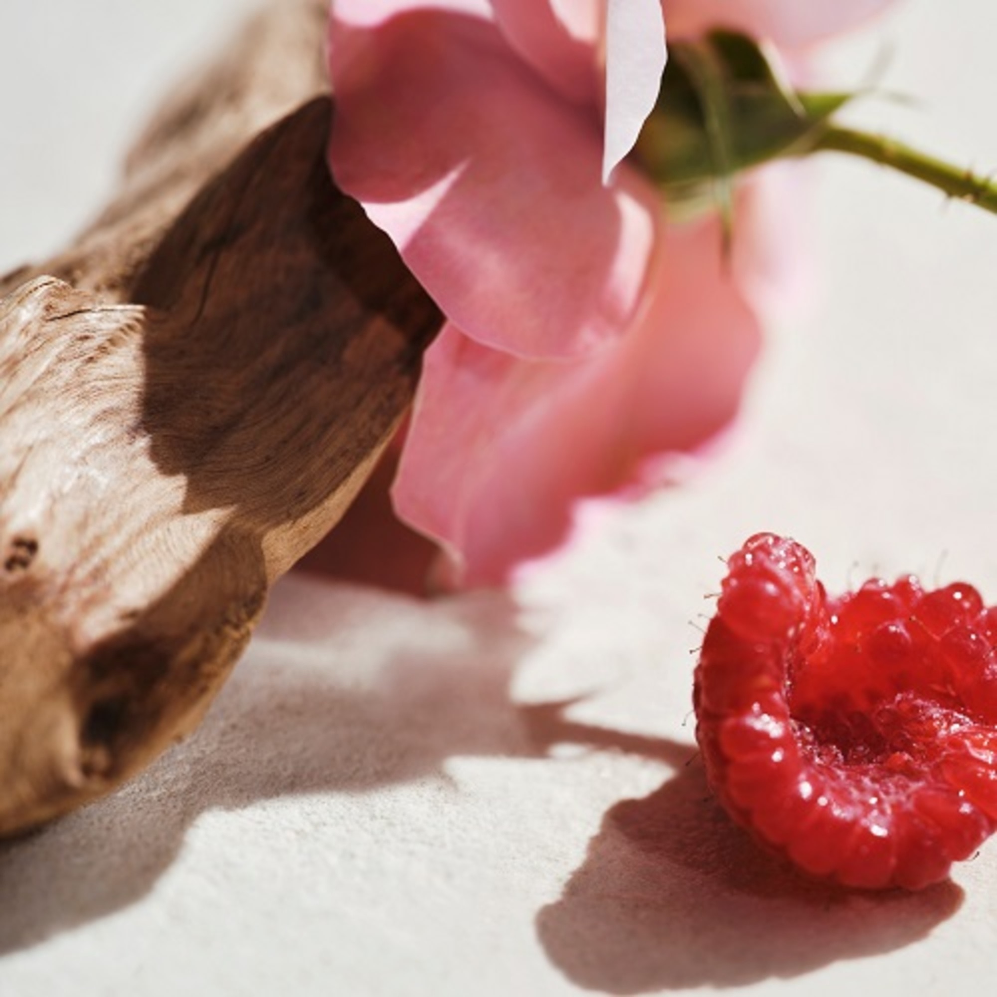 Parfémovaná voda pro ženy