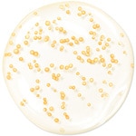 30 ML GUERLAIN ABEILLE ROYALE YOUTH WATERY OIL SERUM Hloubkově obnovující a omlazující sérum 2 of 7 Hloubkově obnovující a omlazující sérum