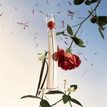 30 ML KENZO FLOWER BY KENZO L'ABSOLUE Parfémovaná voda pro ženy  3 of 3 Parfémovaná voda pro ženy