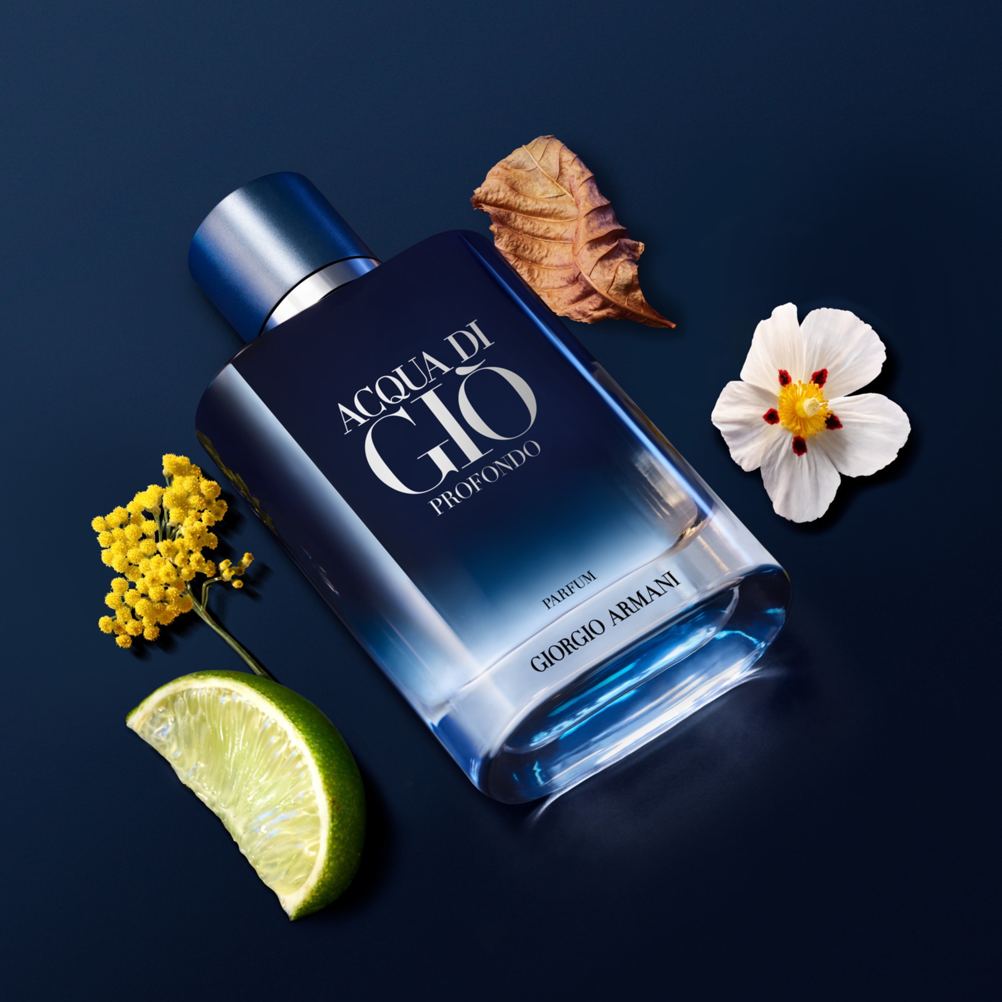 100 ML Armani ACQUA DI GIÒ PROFONDO PARFUM Parfém pro muže  1 of 5 