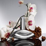 50 ML Calvin Klein Calvin Klein Euphoria Signature Elixir EDP 50ML 7 of 9 Calvin Klein Euphoria Signature Elixir EDP 50ML