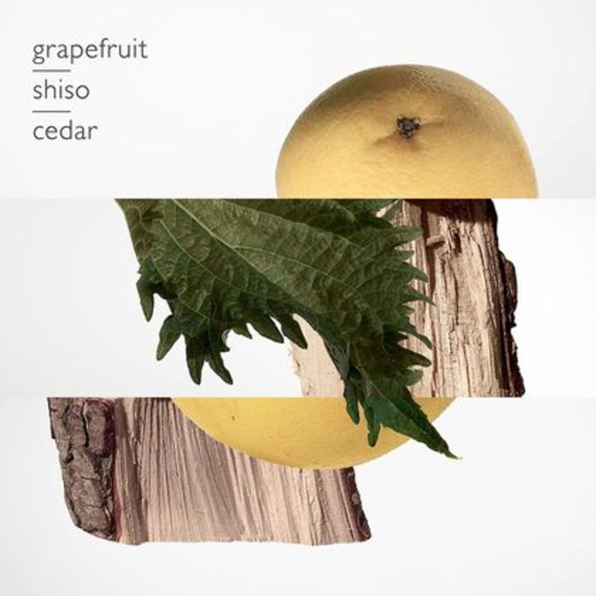 Parfémovaná voda pro muže