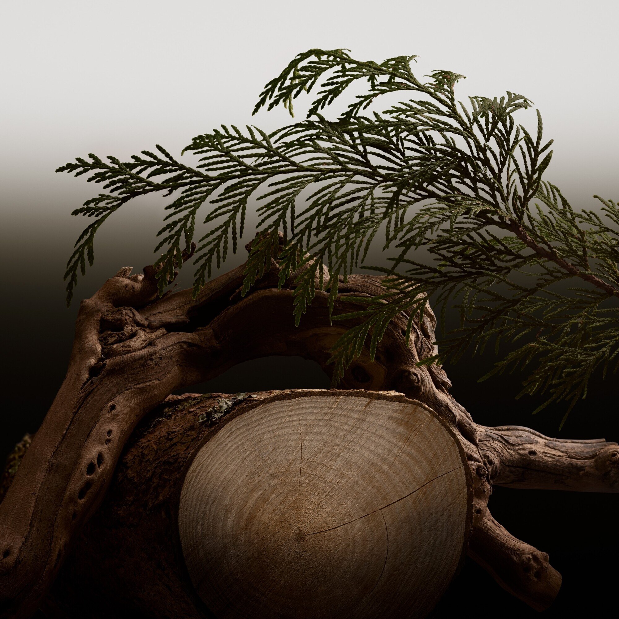 Parfémovaná voda pro muže