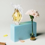 50 ML Nina Ricci Nin F L air D.Temps Edt50 3 of 6 Nin F L air D.Temps Edt50