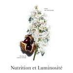 200 ML Clarins NUTRI-LUMIÉRE RENEWING TREATMENT ESSENCE Revitalizační fluid  2 of 3 Revitalizační fluid