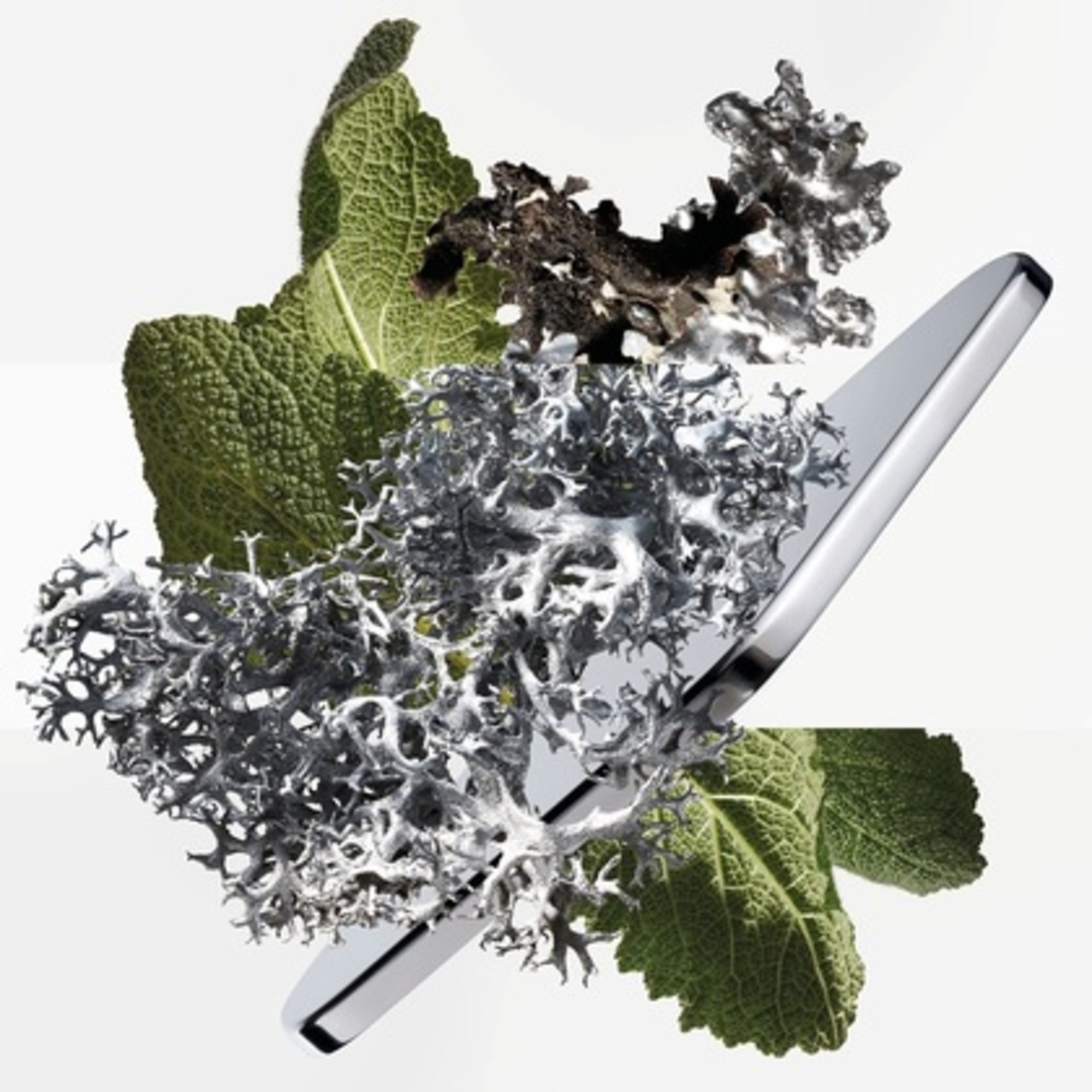 Parfémovaná voda pro muže