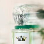 100 ML Sisley L'EAU RÊVÉE D'ALMA Toaletní voda 3 of 7 Toaletní voda