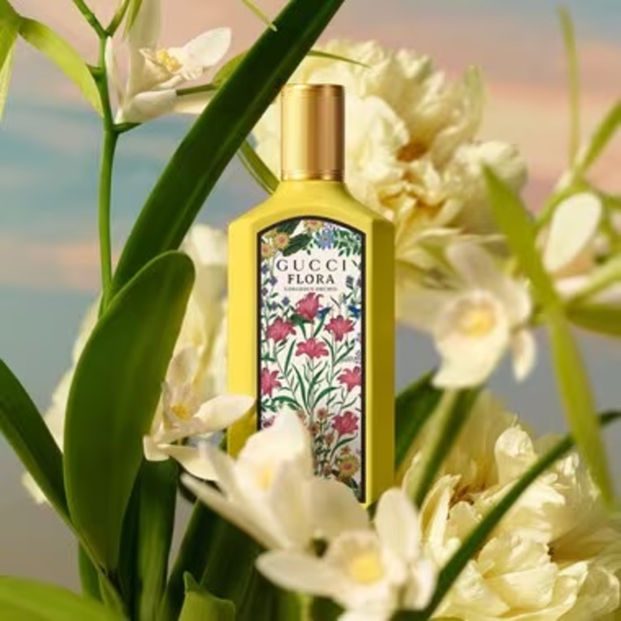 Parfémovaná voda pro ženy