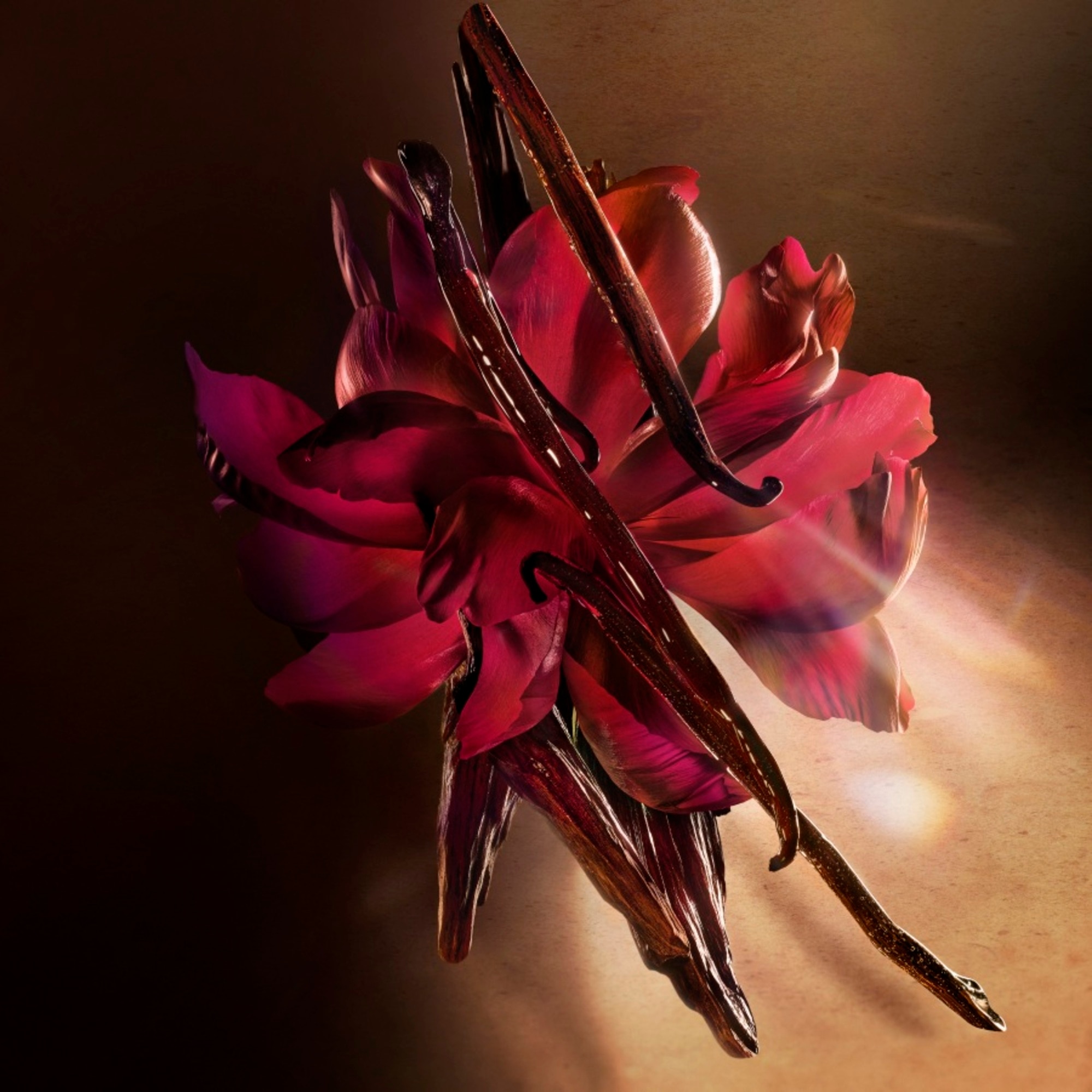 Parfémovaná voda pro ženy