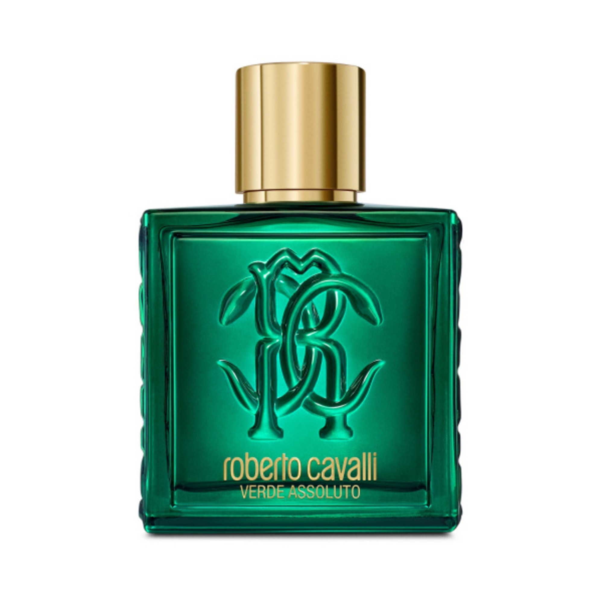 100 ML Roberto Cavalli UOMO VERDE ASSOLUTO Parfémovaná voda  Parfémovaná voda