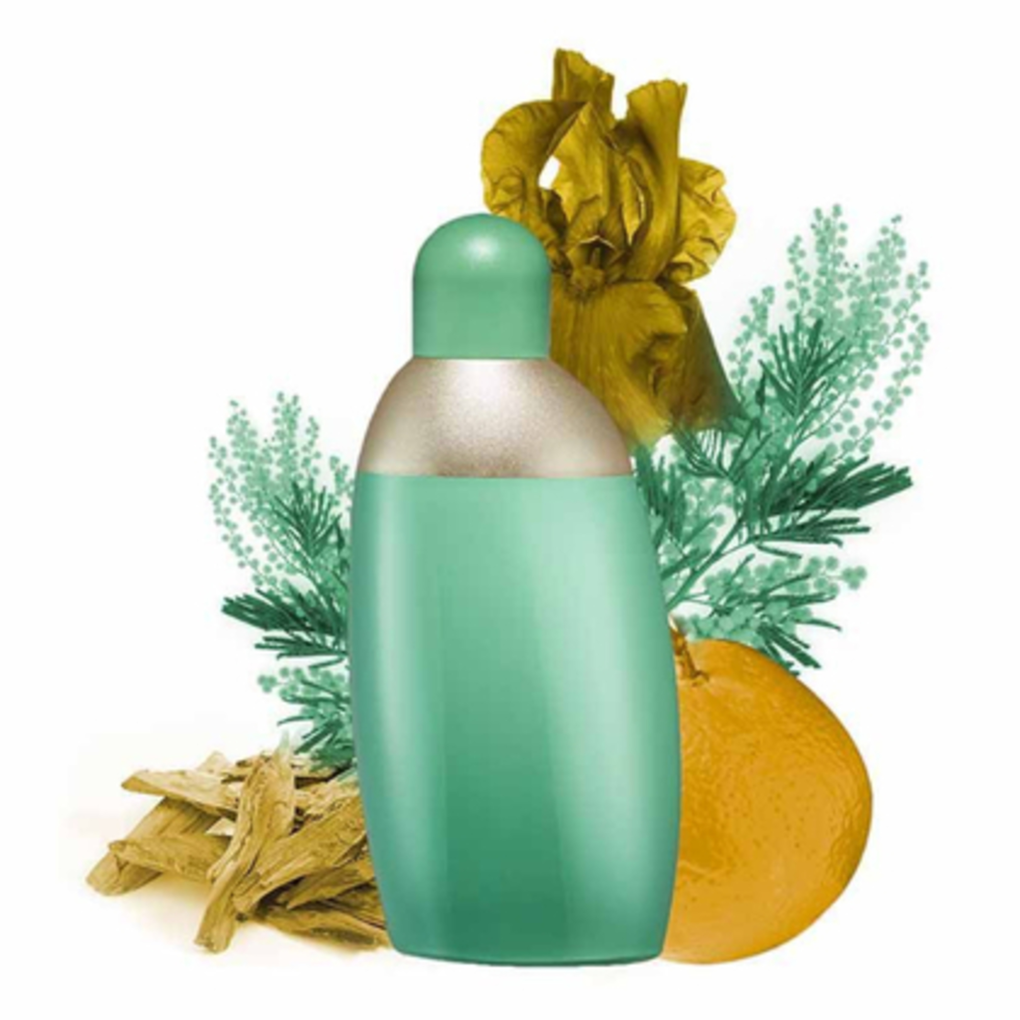 Parfémovaná voda pro ženy