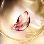 30 ML Lancôme ABSOLUE LONGEVITY SOFT CREAM Péče proti stárnutí 5 of 8 Péče proti stárnutí