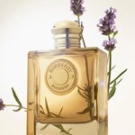 100 ML Burberry GODESS INTENSE Parfémovaná voda pro ženy 5 of 5 Parfémovaná voda pro ženy