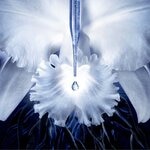 125 ML GUERLAIN ORCHIDÉE IMPÉRIALE ESSENCE-IN-LOTION Pleťová voda proti stárnutí pleti 3 of 3 Pleťová voda proti stárnutí pleti