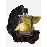100 ML Hermès TERRE D'HERMÈS INTENSE Parfémovaná voda 3 of 6 Parfémovaná voda