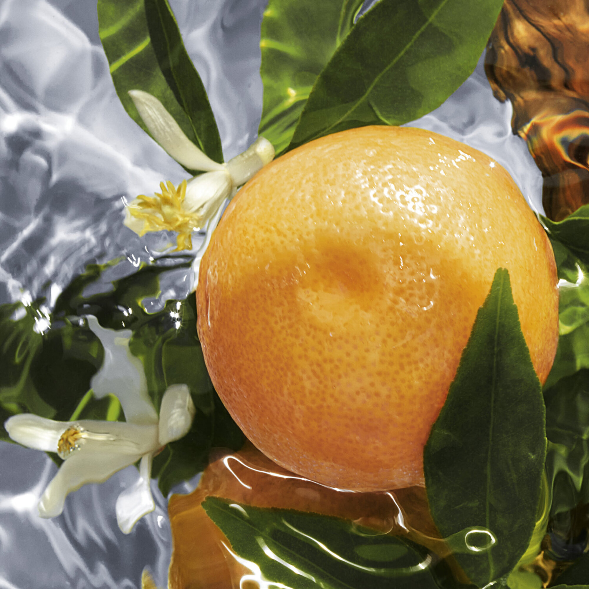 GUE AA PAMPLELUNE EDT R/SPR 75ML