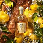 75 ML GUERLAIN AQUA ALLEGORIA FORTE OUD YUZU Parfémovaná voda pro ženy 2 of 3 Parfémovaná voda pro ženy